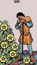 undefined Seven of Pentacles