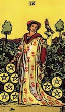 undefined Nine of Pentacles